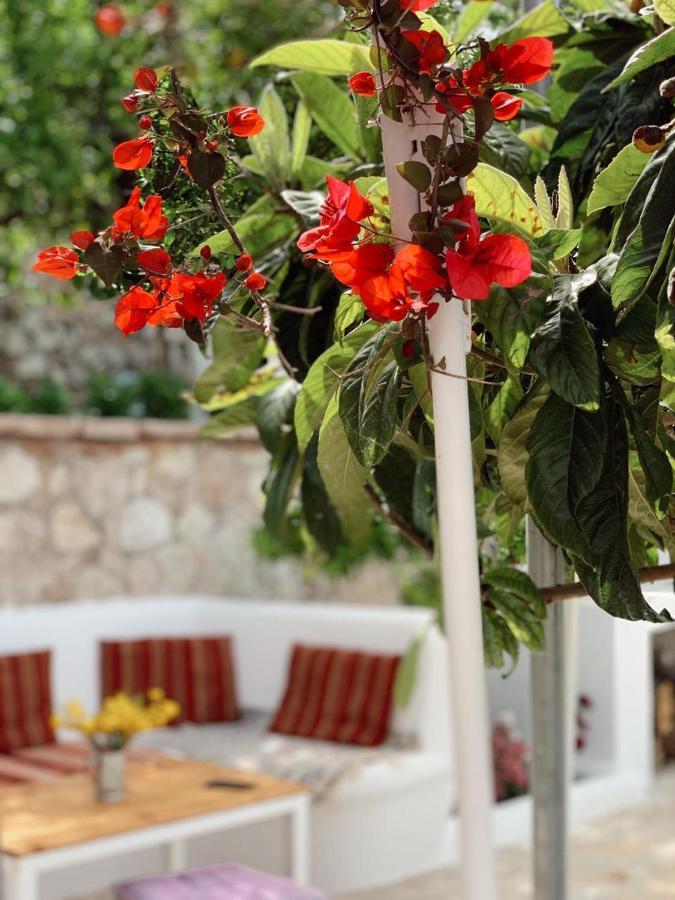 Holiday Home Ali Piqeras Esterno foto